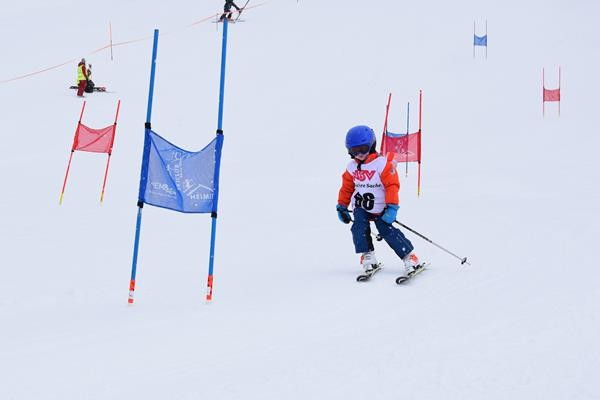 Normal x DSC 0855 (2)